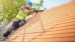 Best Roof Ventilation Installation  in Ludowici, GA