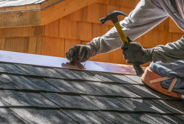 Best Rubber Roofing (EPDM, TPO)  in Ludowici, GA