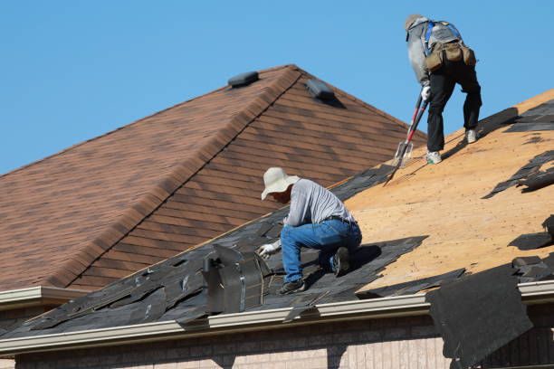 Best Hot Roofs  in Ludowici, GA