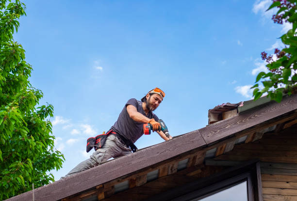 Best Gutter Installation and Repair  in Ludowici, GA