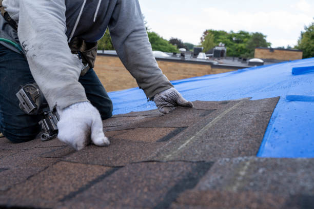 Best Storm Damage Roof Repair  in Ludowici, GA