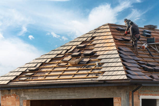 Best Roof Maintenance and Cleaning  in Ludowici, GA