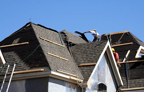 Best Rubber Roofing (EPDM, TPO)  in Ludowici, GA