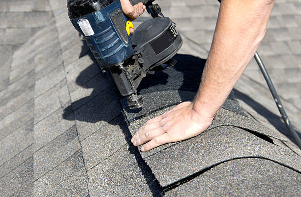 Professional Roofing services in Ludowici, GA
