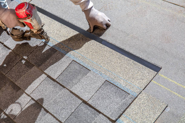Best Roof Insulation Installation  in Ludowici, GA